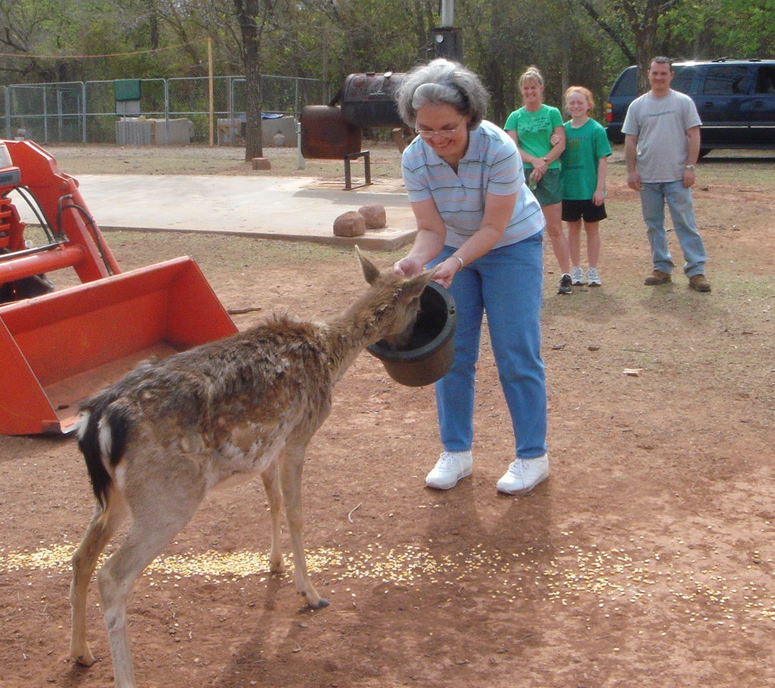 Caring for the deer, 2009.